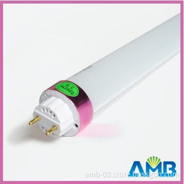 LED Tube, T10 LED Tube